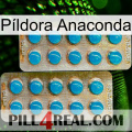 Píldora Anaconda new08